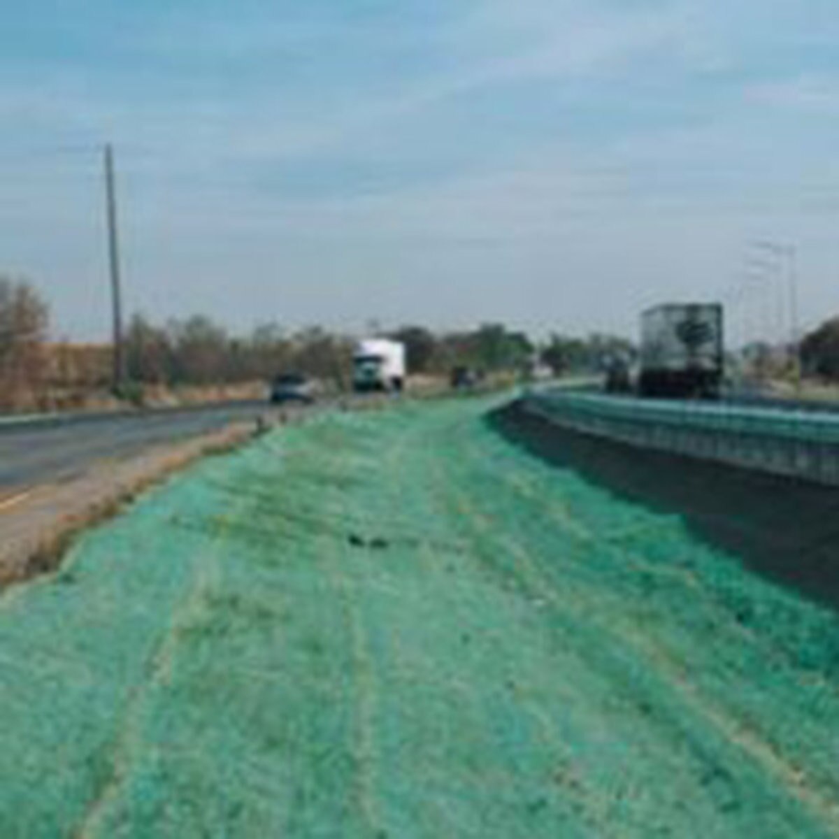 Curlex II Excelsior Erosion Control Blanket Green Aspen SiteOne